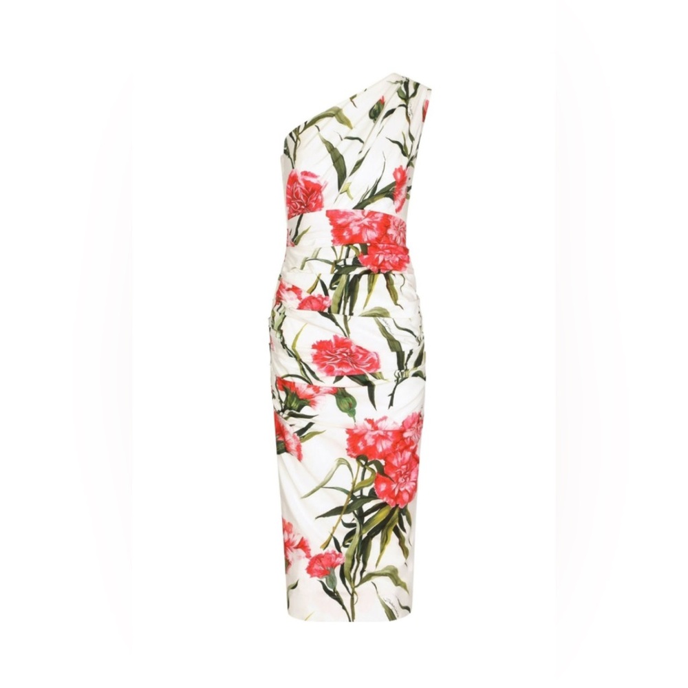 NWT DOLCE & GABBANA Carnation print dress